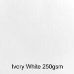 Card-Ivory-250gsm